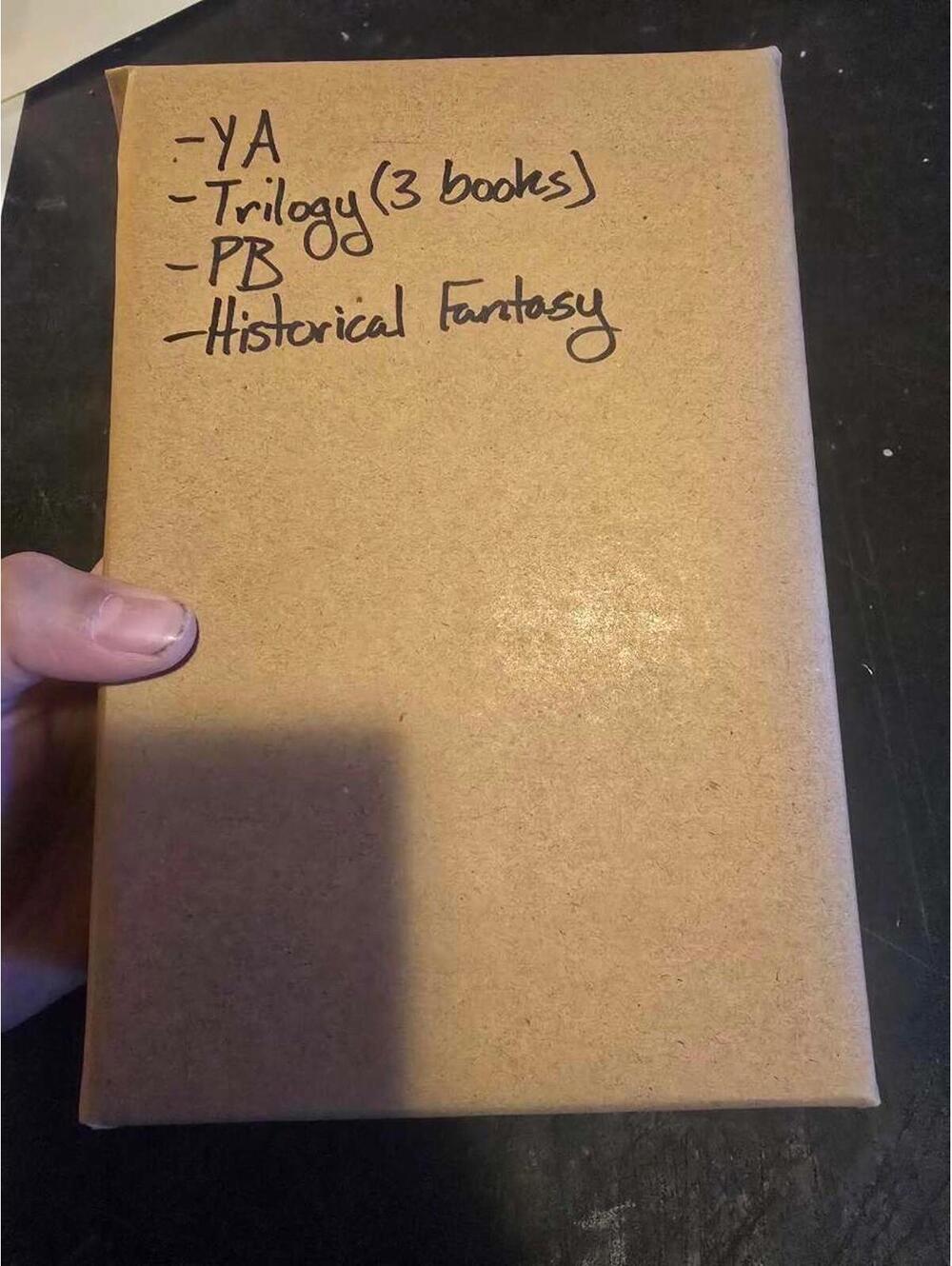 Blind Date with a Historical Novel